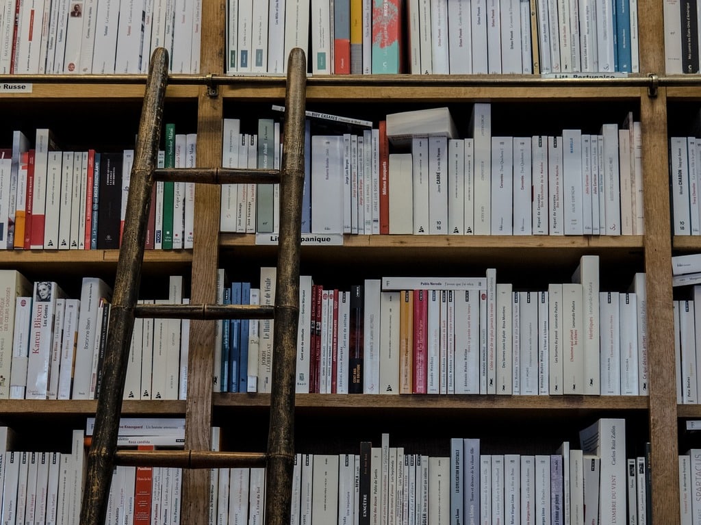 Comment développer compétences et esprit critique dès le plus jeune âge